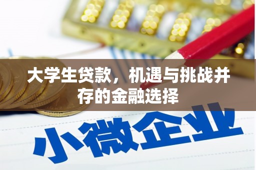 芦山大学生贷款，机遇与挑战并存的金融选择