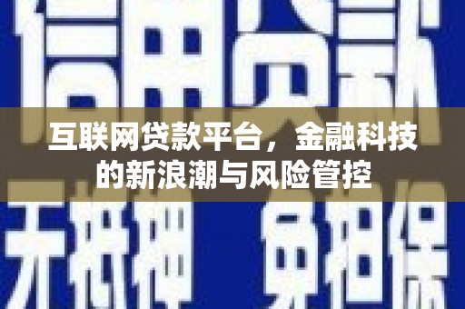 民丰互联网贷款平台，金融科技的新浪潮与风险管控