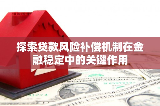 湖内探索贷款风险补偿机制在金融稳定中的关键作用
