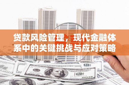 新乐贷款风险管理，现代金融体系中的关键挑战与应对策略