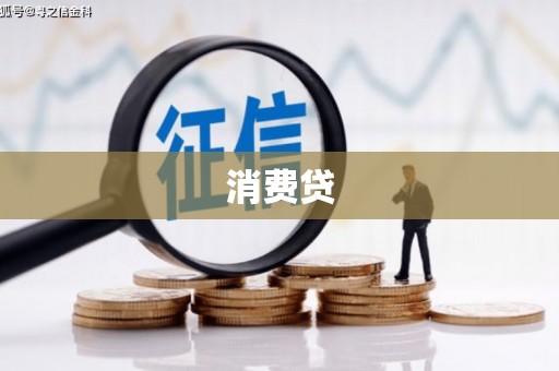 文县消费贷
