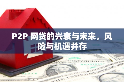路环岛P2P 网贷的兴衰与未来，风险与机遇并存