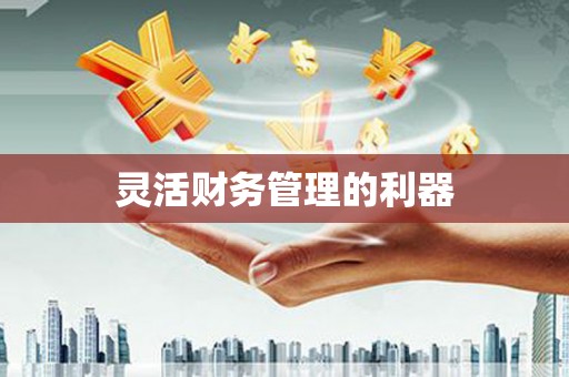 吉隆灵活财务管理的利器