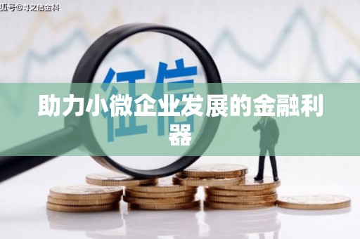 新洲助力小微企业发展的金融利器
