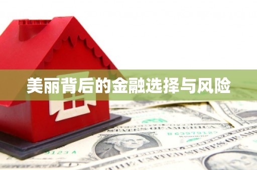 金湾美丽背后的金融选择与风险