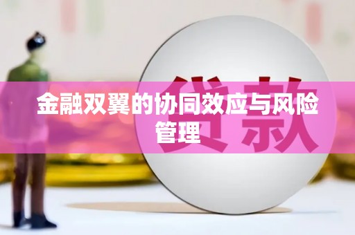 长葛金融双翼的协同效应与风险管理