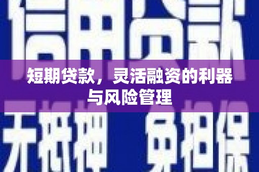 陆良短期贷款，灵活融资的利器与风险管理